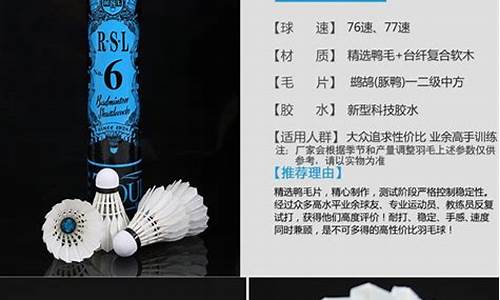 亚狮龙6号羽毛球价格表_亚狮龙6号羽毛球价格表图片