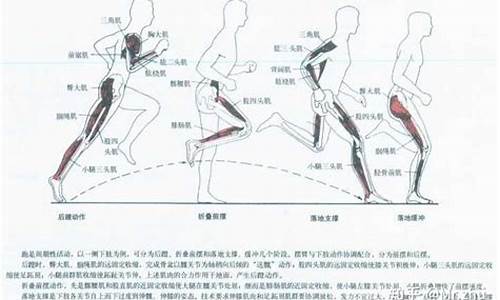 体育运动中所建立的动力定型_举例说明体育运行的动力过程