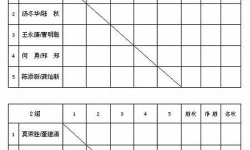 羽毛球比赛统计表_羽毛球比赛统计表格